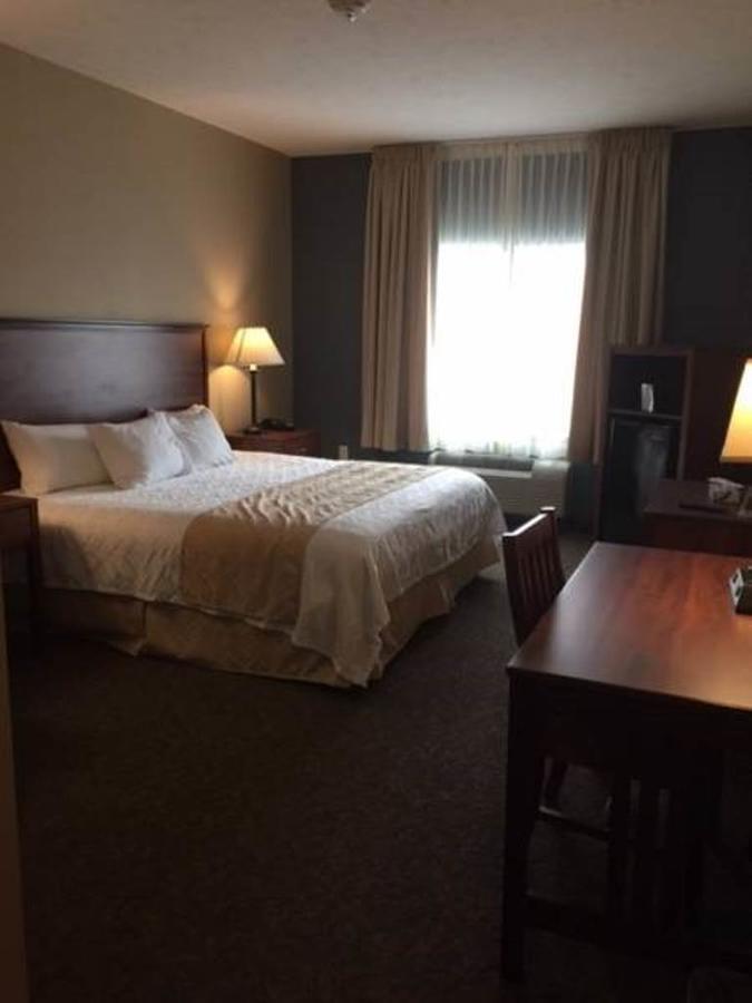 Cardinal Inn Albion Bagian luar foto
